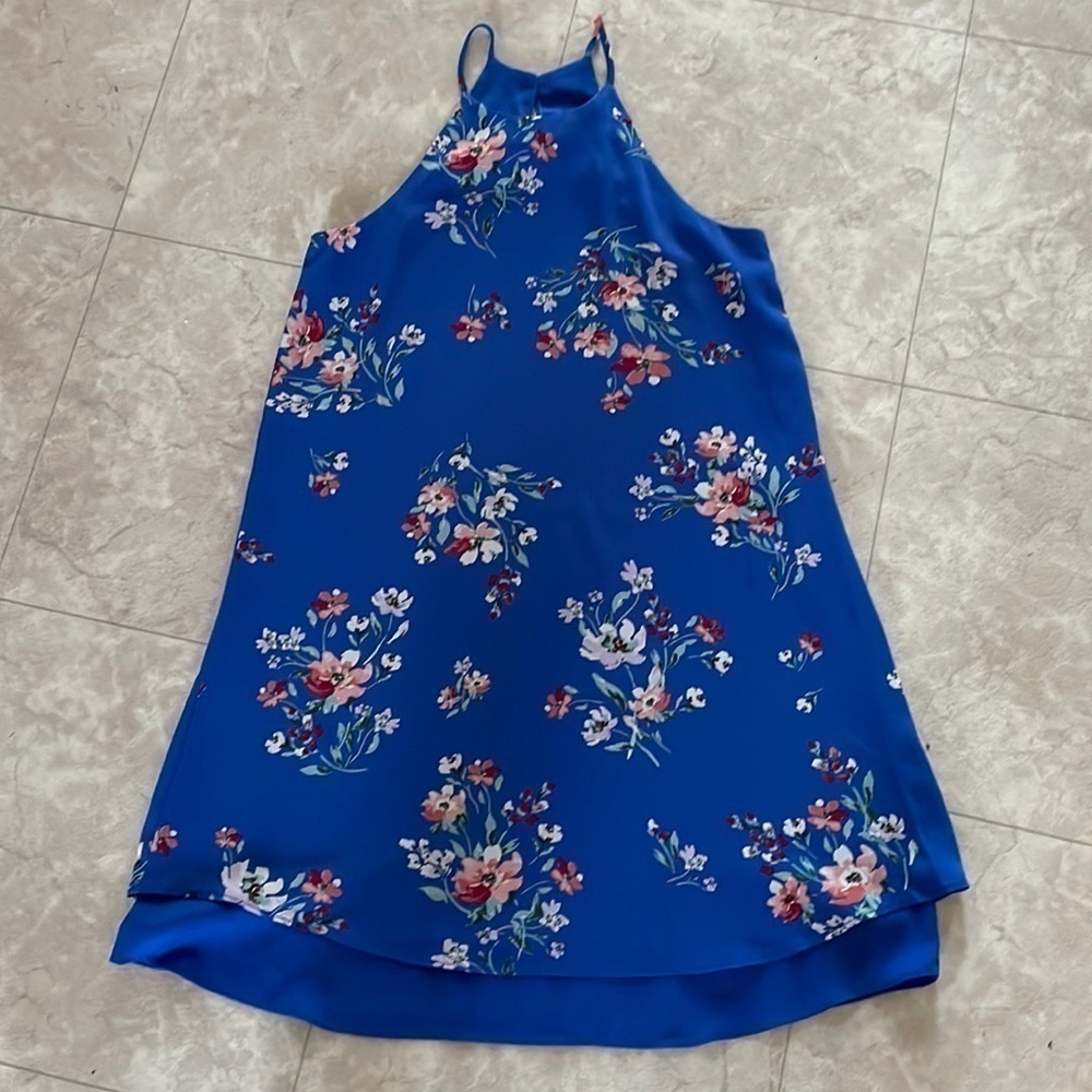 🆕 Pink Rose Blue Flower Dress XS